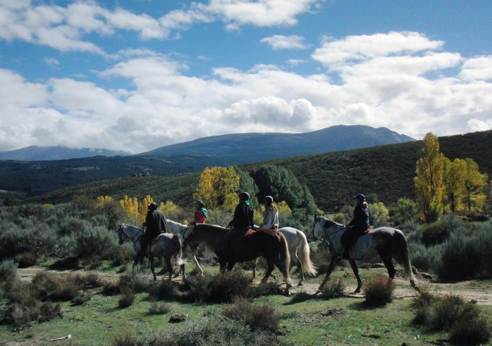 Hoyos del Collado La Casona De Colladoゲストハウス エクステリア 写真